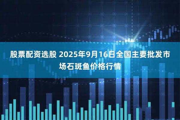 股票配资选股 2025年9月16日全国主要批发市场石斑鱼价格行情