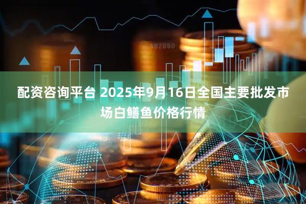 配资咨询平台 2025年9月16日全国主要批发市场白鳝鱼价格行情