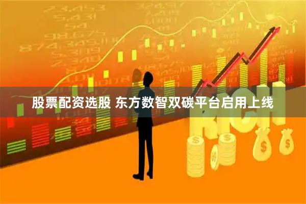 股票配资选股 东方数智双碳平台启用上线