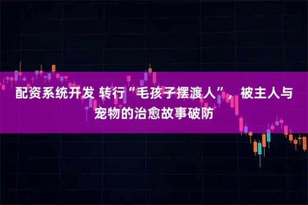 配资系统开发 转行“毛孩子摆渡人”，被主人与宠物的治愈故事破防