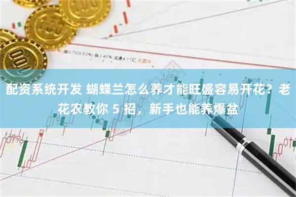 配资系统开发 蝴蝶兰怎么养才能旺盛容易开花？老花农教你 5 招，新手也能养爆盆