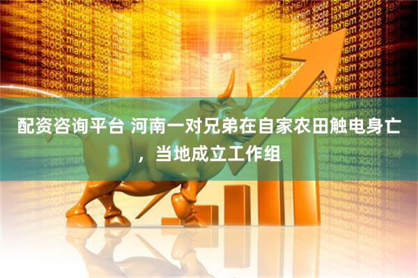 配资咨询平台 河南一对兄弟在自家农田触电身亡，当地成立工作组