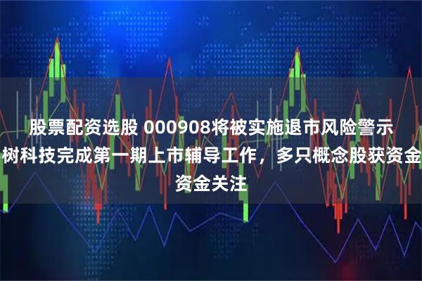 股票配资选股 000908将被实施退市风险警示！宇树科技完成第一期上市辅导工作，多只概念股获资金关注