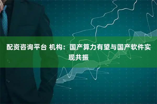 配资咨询平台 机构：国产算力有望与国产软件实现共振