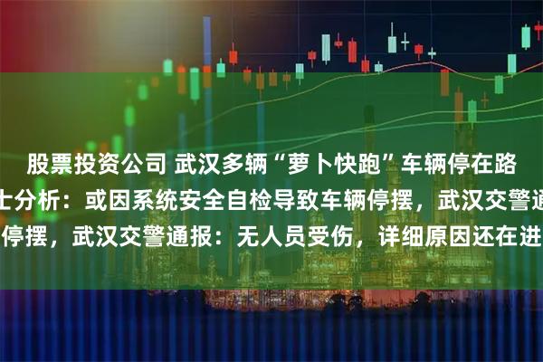 股票投资公司 武汉多辆“萝卜快跑”车辆停在路中间无法移动，业内人士分析：或因系统安全自检导致车辆停摆，武汉交警通报：无人员受伤，详细原因还在进一步调查