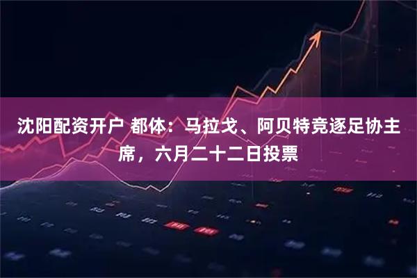 沈阳配资开户 都体：马拉戈、阿贝特竞逐足协主席，六月二十二日投票
